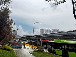 Blk 345 Teck Ghee Evergreen (Ang Mo Kio), HDB 3 Rooms #602926541